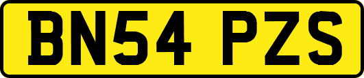 BN54PZS