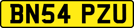 BN54PZU