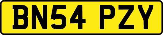 BN54PZY