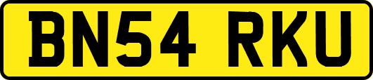 BN54RKU