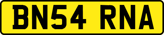 BN54RNA