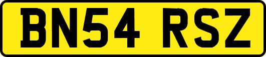 BN54RSZ
