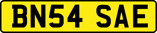 BN54SAE