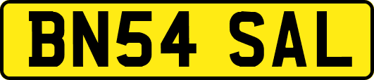 BN54SAL