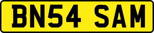 BN54SAM