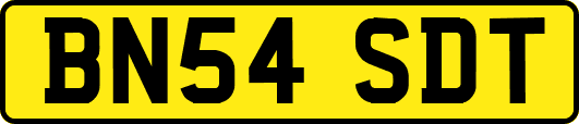 BN54SDT