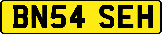 BN54SEH