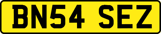 BN54SEZ
