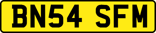 BN54SFM