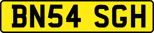 BN54SGH