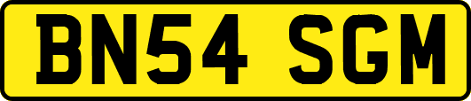 BN54SGM