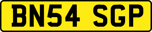 BN54SGP