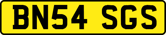 BN54SGS