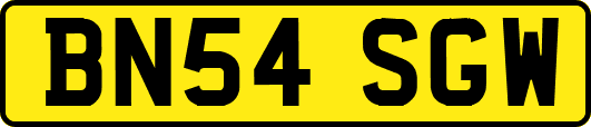 BN54SGW