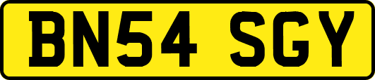 BN54SGY