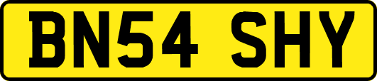BN54SHY