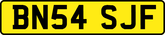 BN54SJF