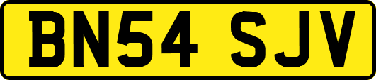 BN54SJV