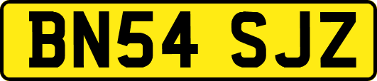 BN54SJZ