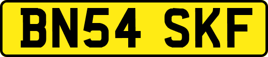 BN54SKF