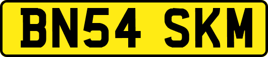 BN54SKM