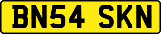 BN54SKN