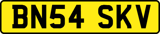 BN54SKV