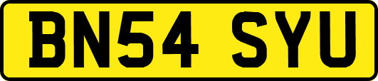 BN54SYU