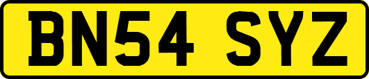 BN54SYZ
