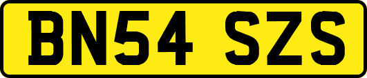 BN54SZS
