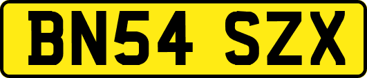 BN54SZX