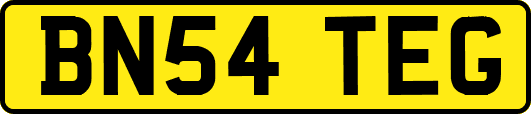 BN54TEG