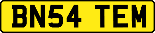 BN54TEM