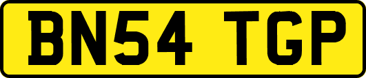 BN54TGP