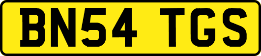 BN54TGS