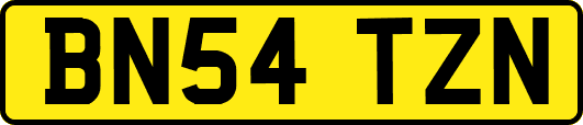 BN54TZN