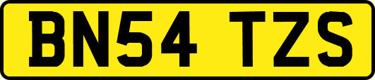 BN54TZS