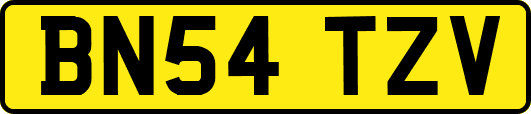BN54TZV