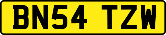 BN54TZW
