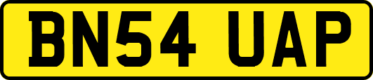 BN54UAP
