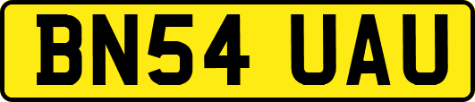 BN54UAU