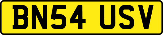 BN54USV