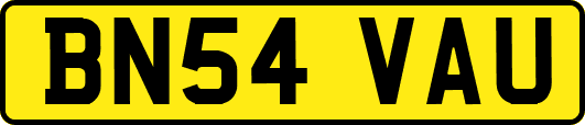BN54VAU