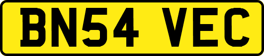 BN54VEC