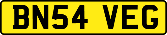 BN54VEG