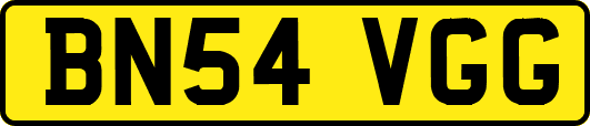 BN54VGG