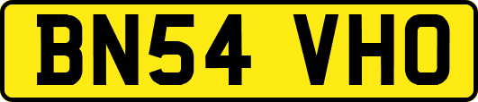BN54VHO