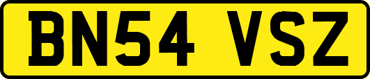 BN54VSZ