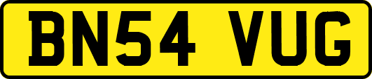 BN54VUG