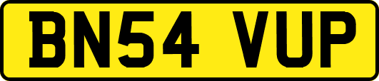 BN54VUP